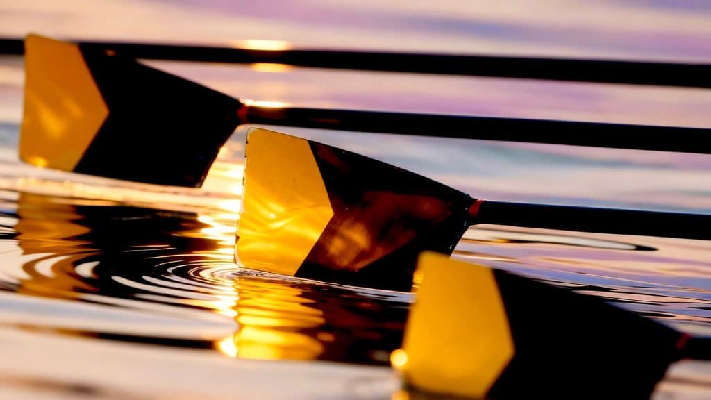 Rowing oars reflecting sunlight on water.